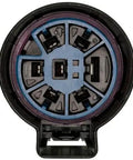 1P1735 Ford Explorer Trailer Connector Kit