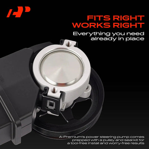 Oem Style Heavy Duty Power Steering Pump Assembly With Reservoir And Pulley For Chevy Impala Monte Carlo 2006 To 2011 V6 3.5L 3.9L close-up view showing pump details.