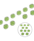 Circular for spirit Level 32mm High Translucent for acrylic Body, set of 12 precision levels with green fluid and markings.
