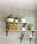 Heavy Duty Triangle Steel Shelf Bracket Rock Solid Right Angle Wall Mount Holds Floating Shelves With Rustproof Finish for plant display.