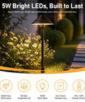 5W LED path light from 14 Light Low Voltage Landscape Lighting System With 12 Path Lights Kit And 2 Spotlights Aluminum Build