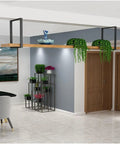 Rock Solid Heavy Duty Ceiling Mount Floating Shelf Brackets Three Pack with wood shelf and plants in modern decor.