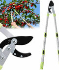 Heavy Duty Extendable Branch Loppers For Pruning 25 To 44 Inch Reach With Lightweight Anvil Loppers Cuts Up To 2 Inch Thick Branches Using Multi Pivot Leverage For No Sweat Easier Tree Limb Trimming in use on a fruit tree.