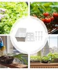 Six Hole Hydroponics Grow Box Kit for Indoor Outdoor Garden Soilless Cultivation System with plants and gardening setup