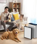 Two Pack EverestAir Replacement Filters in living room with activated carbon for purifiers reducing odors from smoke, cooking, pets