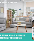 Living room with Peppermint Oil Spray For Bugs And Pests Indoor Outdoor Pest Control With Cedar Oil 16oz bottle displayed