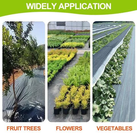 Widely applied heavy duty woven weed barrier landscape fabric 4ft by 50ft black geotextile used under fruit trees, flowers, vegetables.
