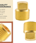 Two Pack Half Inch Npt Solid Brass Boat Drain Plugs For Marine Hulls And Livewells Garboard Replacement Durable Hardware Corrosion Resistant Fits Standard Threaded Sockets Easy Install