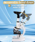 Kids Microscope With 40X To 2500X Magnification, adjustable arm for observing while sitting, HD 4 inch display visible