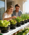 Rugged Hydroponic Net Cups And Heavy Duty Plant Holders For Indoor And Outdoor Gardens on a balcony with vegetables