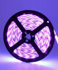 Next Level 24W UV Black Light LED Strip Running 16.4 Feet With 300 Killer 3528 SMD LEDs For Badass Outdoor Rigs And Hype House Parties Along With IP65 Rugged Shielding And Simple Plug And Play Hookup on a reel, glowing purple.