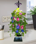 Indoor Hydroponics Tower Grow Kit With LED Grow Light for herbs, vegetables, microgreens; standing floor system on desk.