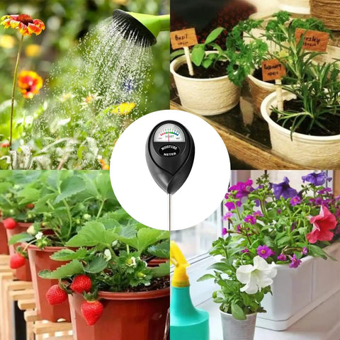 Extended Twelve Point Six Inch Soil Moisture Meter Probe 2 Pack For Indoor Outdoor Plant Care in use with various plants.