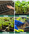 24 Cell Seed Starter Tray With Dome For Easy Seed Starting, 5 Pack 2 Inch Plug Trays Totaling 120 Cells in seed germination process