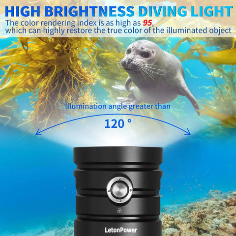 Beast Bright 25000 Lumens Underwater Dive Light with 100m Depth used underwater with seal and kelp, 120° illumination angle.