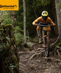 Mountain biker navigating forest trail, wearing protective gear, using 26 inch mountain bike with Schrader valves and butyl tubes