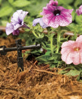 1 GPH Pressure-Compensating Drip Emitter 30 Pack Spot Watering Dripper for One Quarter Inch Tubing in garden setting