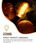 4 Pack Vintage Edison LED Bulbs 4W Filament With 60 Watt Equivalent T45 Style glowing in warm white 2700K E26 base.