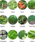 Various vegetables including radish, greens, carrot, celery, spinach, cabbage, coriander, green onions, cauliflower, lettuce, broccoli.
