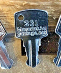 Key Set for 8080210 Equipment 231 Replacement Keys for Boom Lifts Compatible with Kubota Genie Telex Skyjack Vermeer
