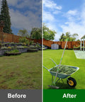 Lawn comparison before and after using Powerful Thatch Rake For Lawns With 13 Inch Wide Head And 21 Carbon Steel Tines Dual Sided Dethatching Tool And Scarifier For Dead Grass And Moss Removal Opens The Lawn Surface For Air Water And Nutrients 65 Inch Long Metal Handle