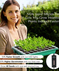 Woman holding All In One Seed Starting Kit With Grow Lights And Heat Mat For No Fuss Indoor Gardening, 40 Cell Tray, plant seedlings