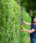 Man using Pro Level 18V ONE PLUS Cordless Hedge Trimmer Featuring 55cm Double Edge Blades on a hedge.