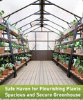 Interior view of 8x14 Ft Wooden Greenhouse for Outdoors with Walk In Design Polycarbonate Panels Lockable Door Roof Vent